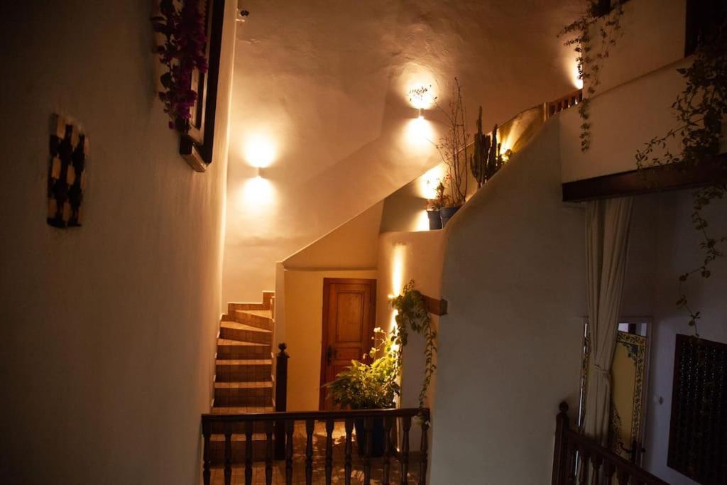 Dar Mounia Bed & Breakfast ราบัต ภายนอก รูปภาพ